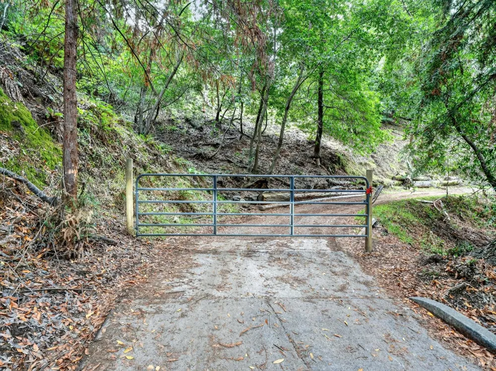 31 Red Rock Way San Rafael, CA 94903