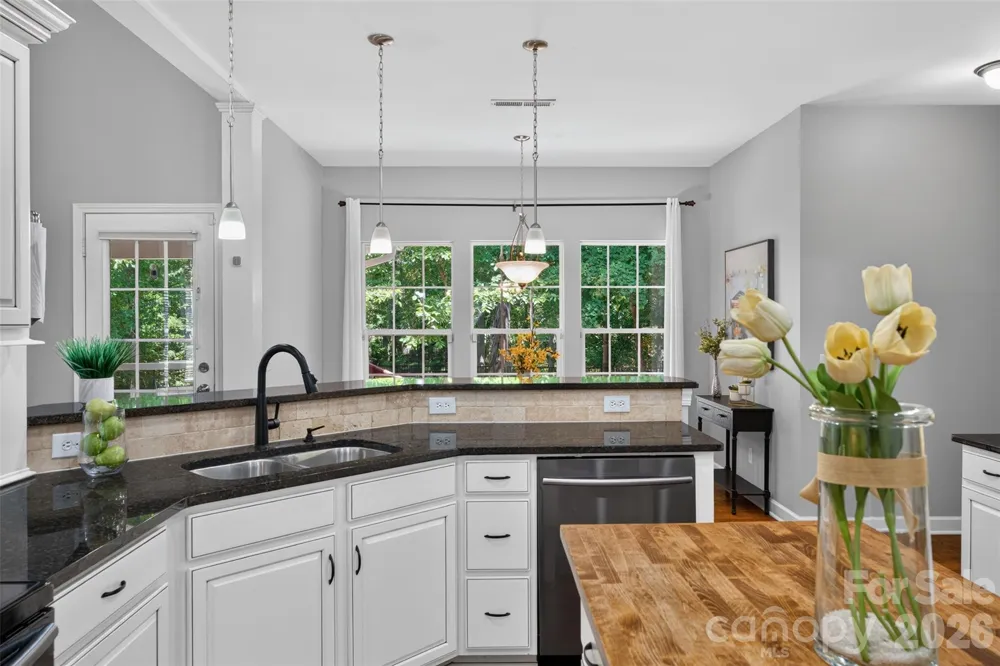 203 Elven Court Waxhaw, NC 28173