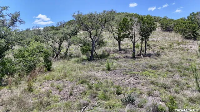 LOT 99 CREEKSIDE AT CAMP VERDE PHASE 2 Center Point, TX 78010
