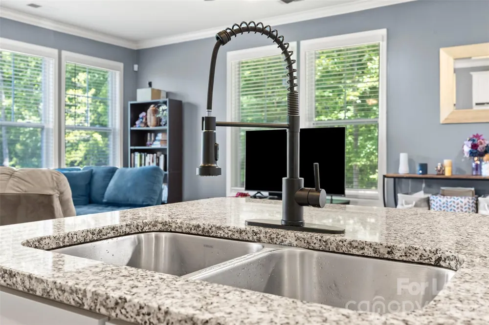 1095 Chicory Trace Lake Wylie, SC 29710