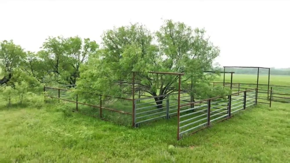 County Rd 389 Gorman, TX 76444