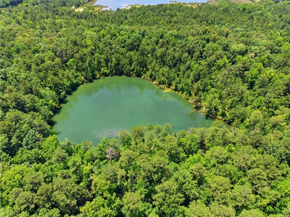 0 Magnolia Mcintyre, GA 31054