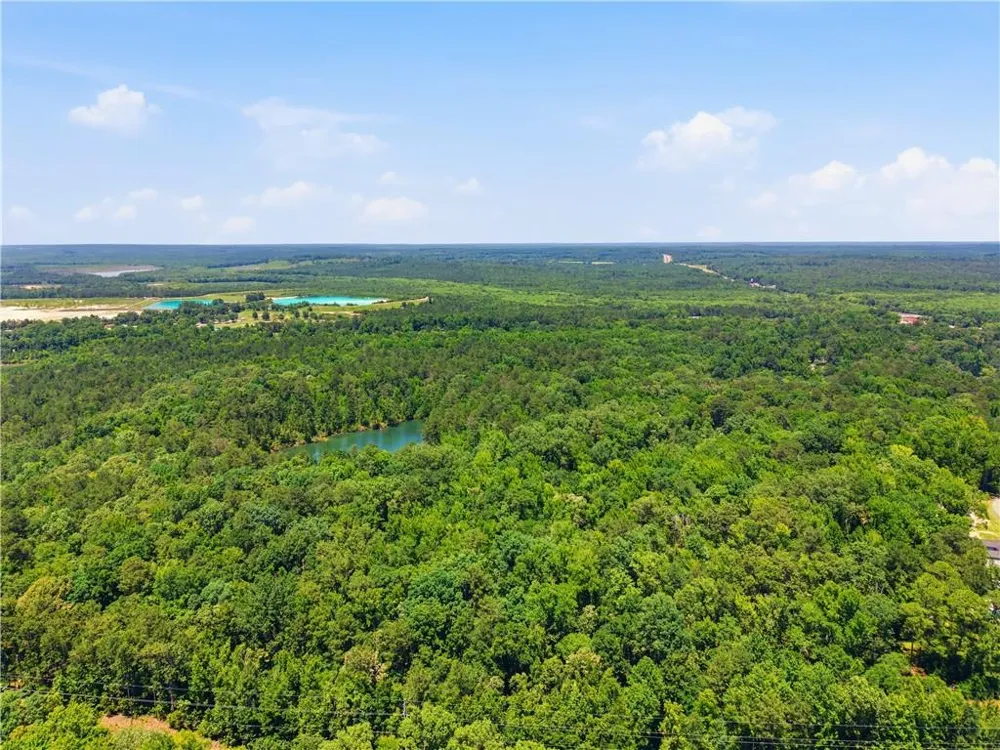 0 Magnolia Mcintyre, GA 31054