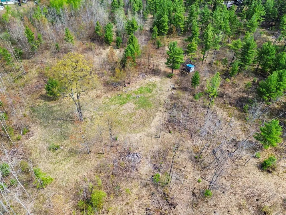 6595 Wickert Road Plainfield Township, MI 48739