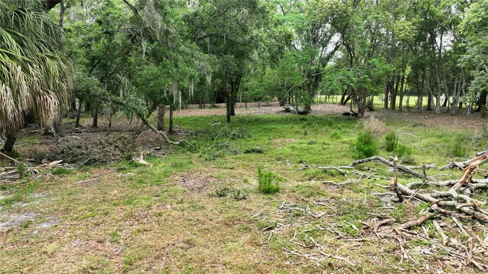 OLD CONE GROVE ROAD Riverview, FL 33578