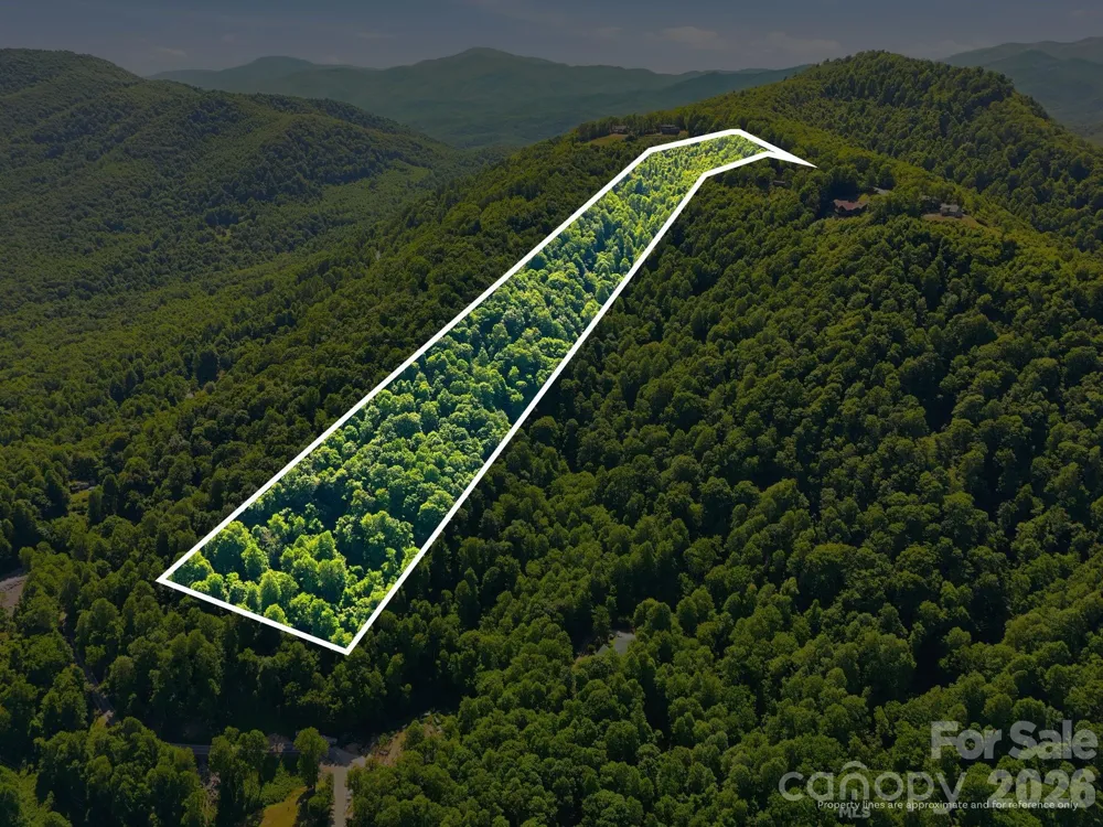 99999 Cliffledge Trail Black Mountain, NC 28711