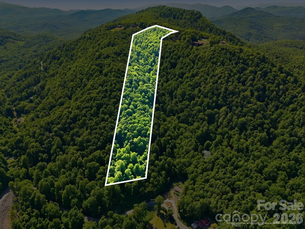 99999 Cliffledge Trail Black Mountain, NC 28711