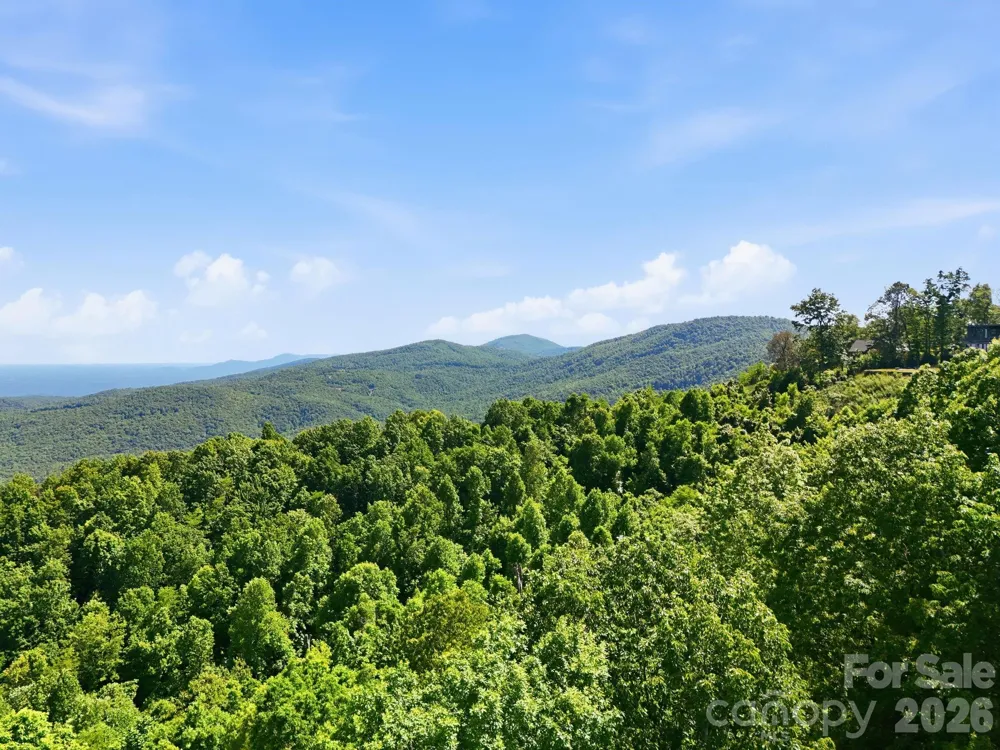 99999 Cliffledge Trail Black Mountain, NC 28711