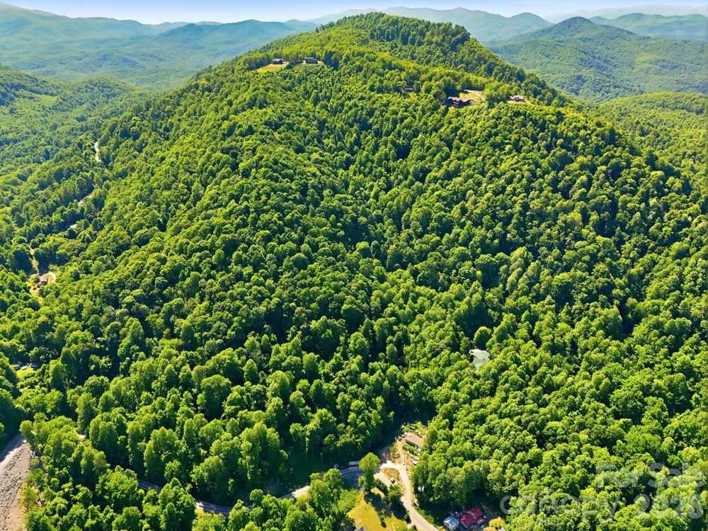 99999 Cliffledge Trail Black Mountain, NC 28711