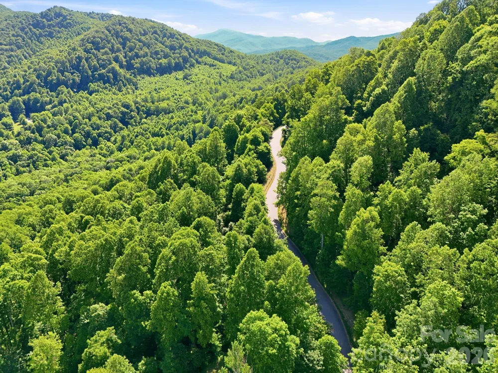 99999 Cliffledge Trail Black Mountain, NC 28711
