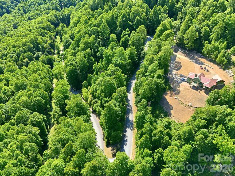 99999 Cliffledge Trail Black Mountain, NC 28711
