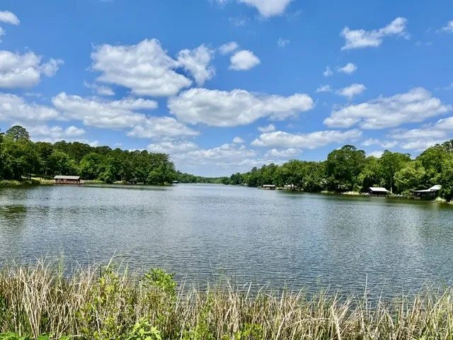 717 private road 6665 Mineola, TX 75773