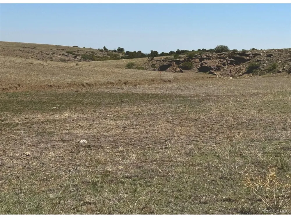 13 Pickney Road Rye, CO 81069