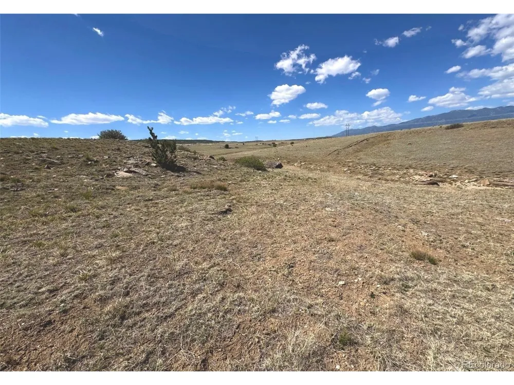 13 Pickney Road Rye, CO 81069