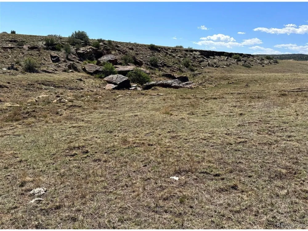 13 Pickney Road Rye, CO 81069