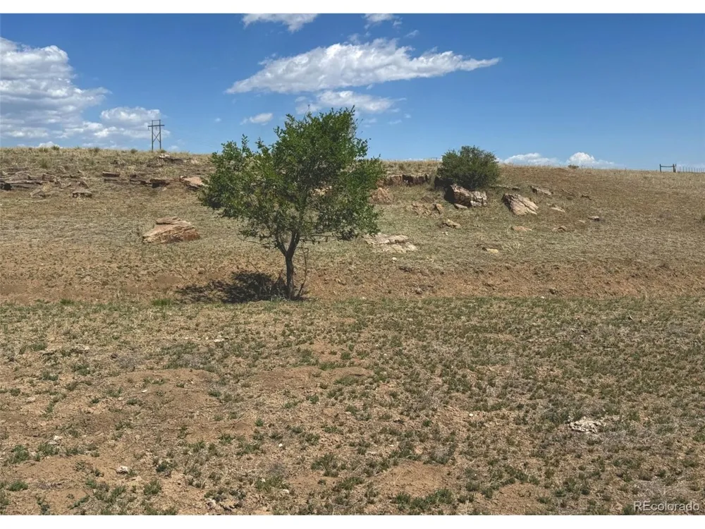 13 Pickney Road Rye, CO 81069