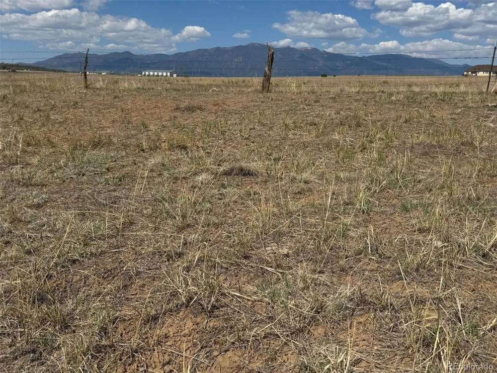13 Pickney Road Rye, CO 81069
