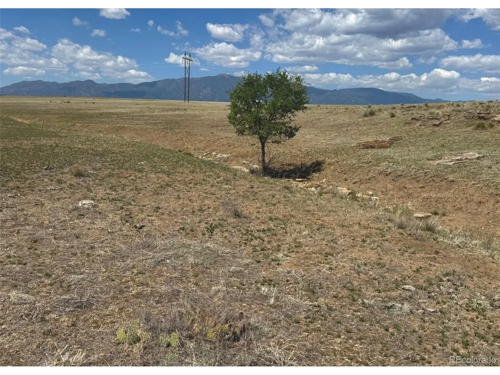 13 Pickney Road Rye, CO 81069