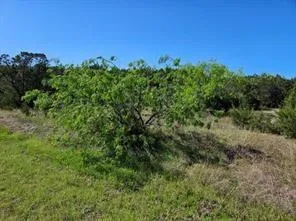 43136 Lantana Dr Whitney, TX 76692