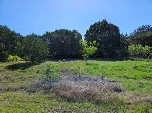 43136 Lantana Dr Whitney, TX 76692