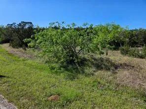 43136 Lantana Dr Whitney, TX 76692