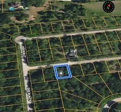 31041 Doe Run Ct Whitney, TX 76692