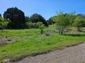 31041 Doe Run Ct Whitney, TX 76692