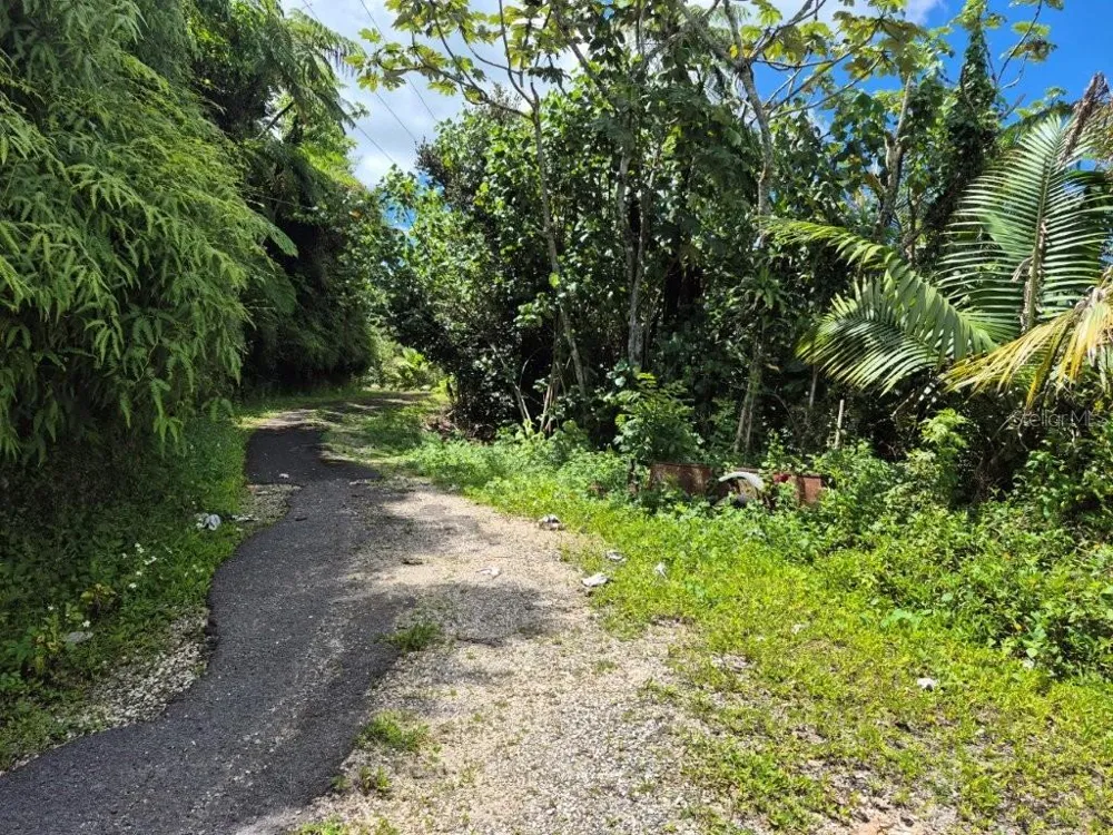 KM 24.1 PR 143 Juana Diaz, PR 00795