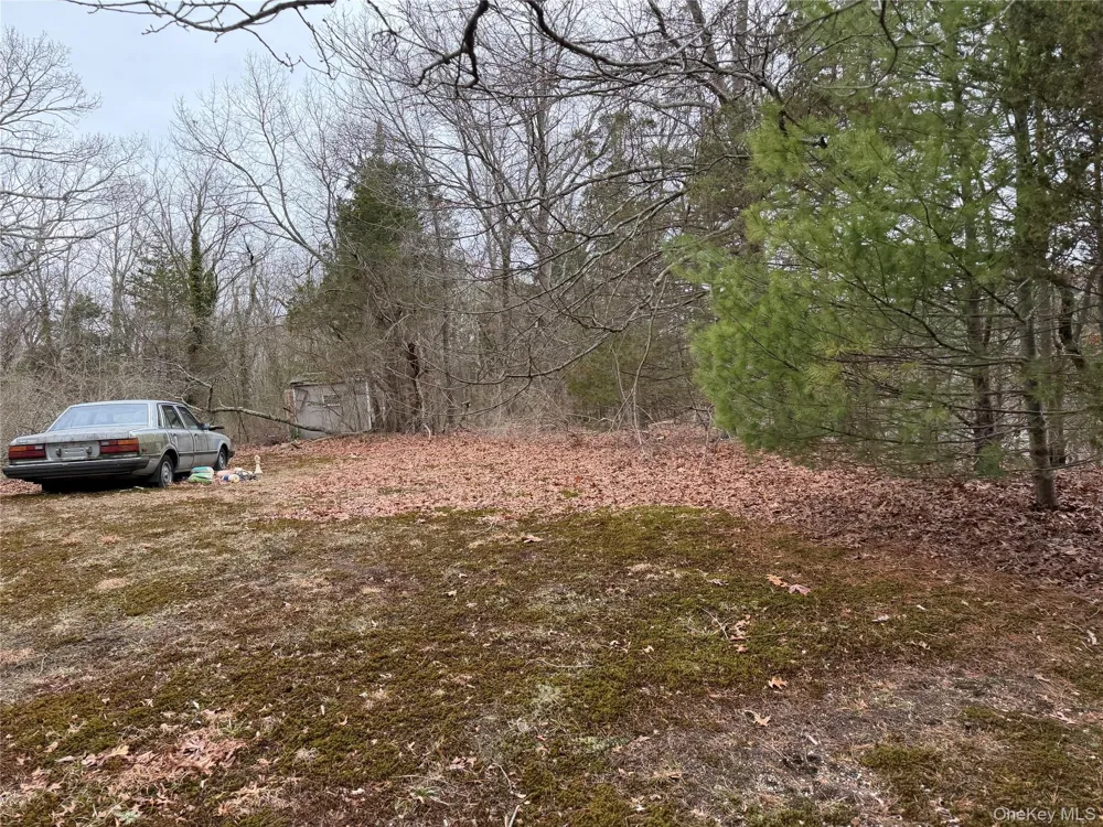 171 Stony Hollow Road Greenlawn, NY 11740