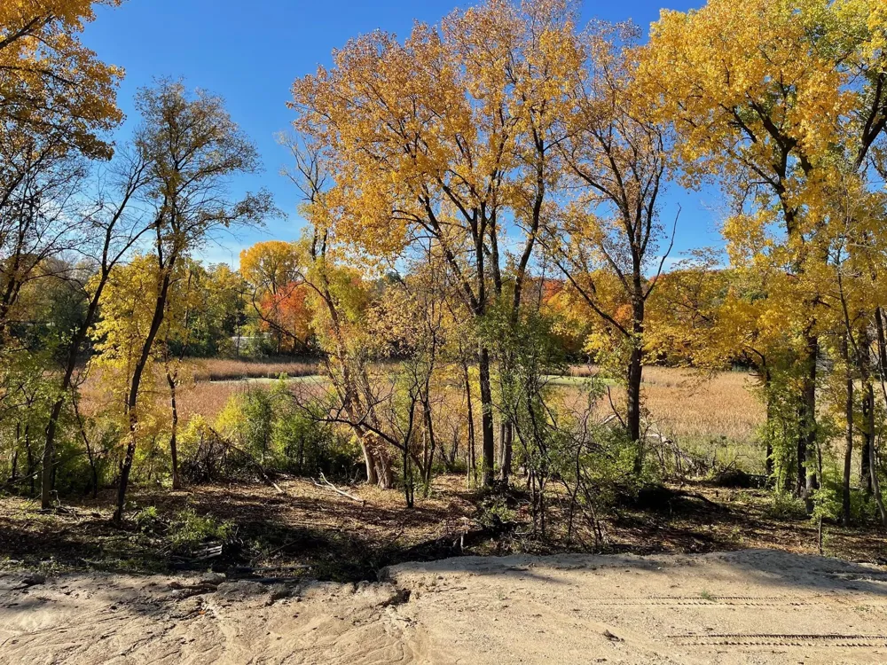 20468 Radisson Road Shorewood, MN 55331