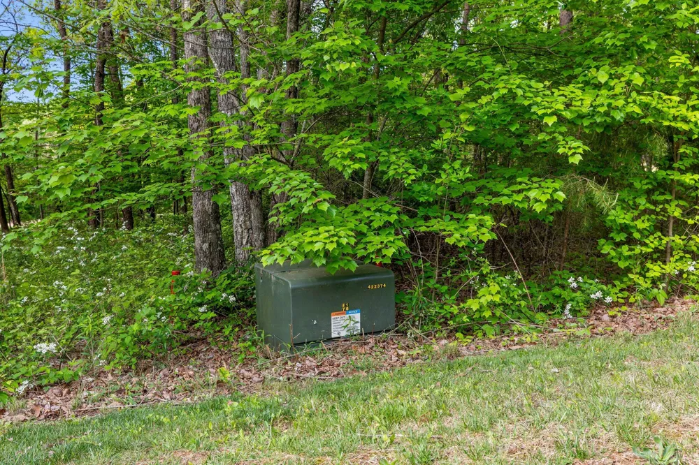 Old Rocky Trail Menlo, GA 30731