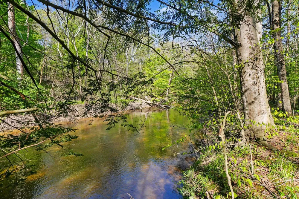 14888 County Road 687 Geneva Township, MI 49090