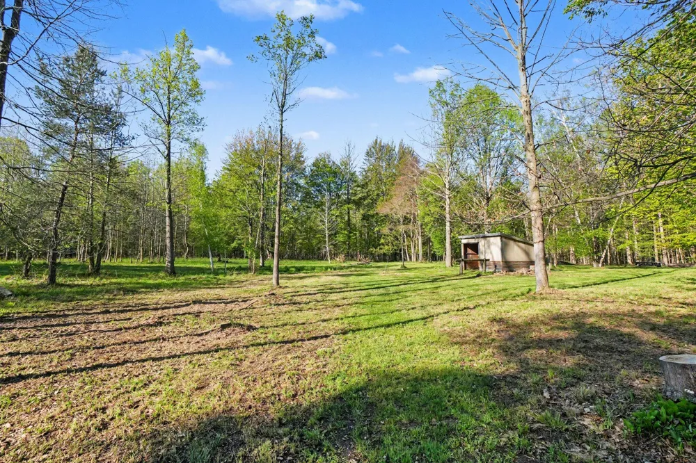 14888 County Road 687 Geneva Township, MI 49090