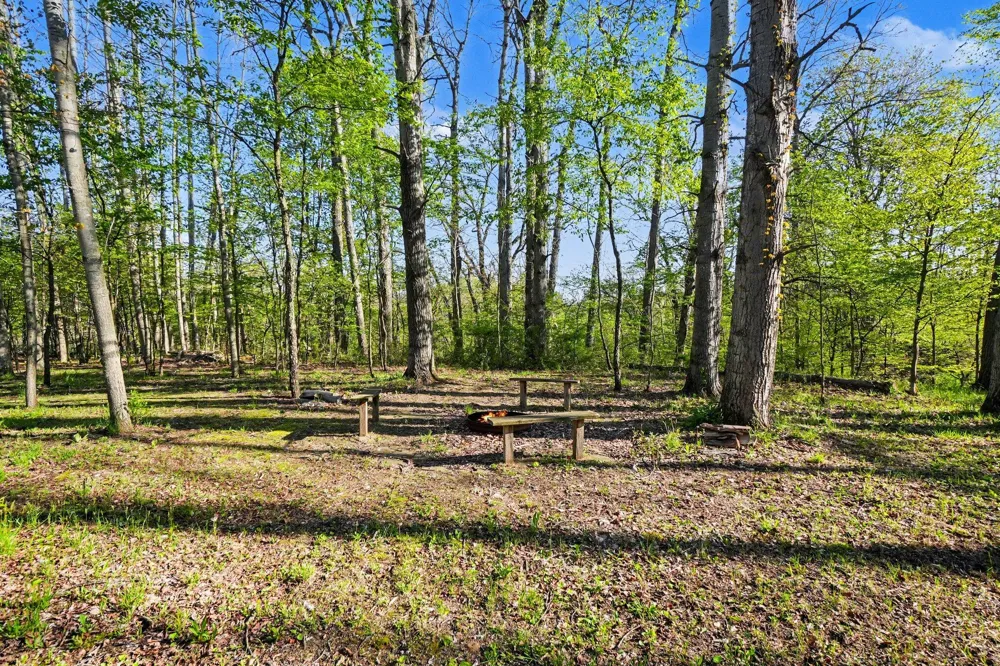 14888 County Road 687 Geneva Township, MI 49090