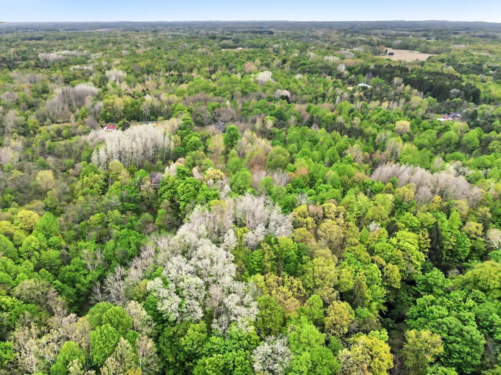 14888 County Road 687 Geneva Township, MI 49090