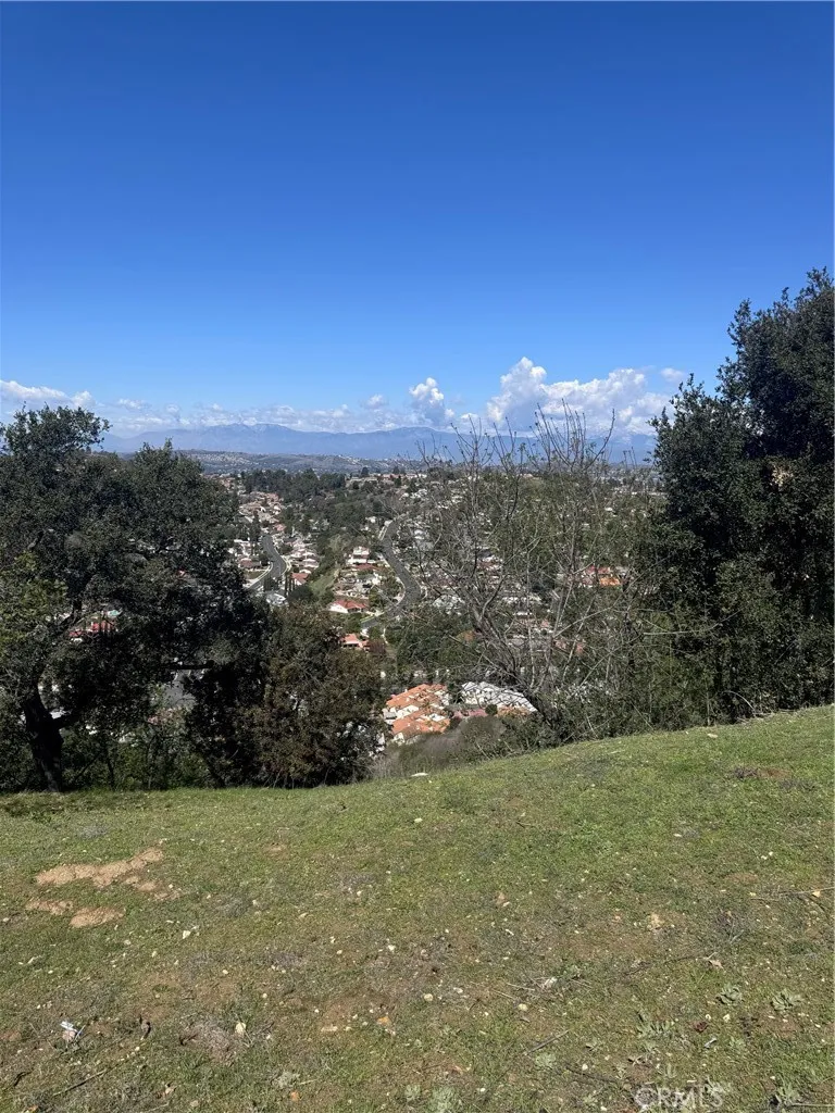 22607 Ridgeline Rd Diamond Bar, CA 91765