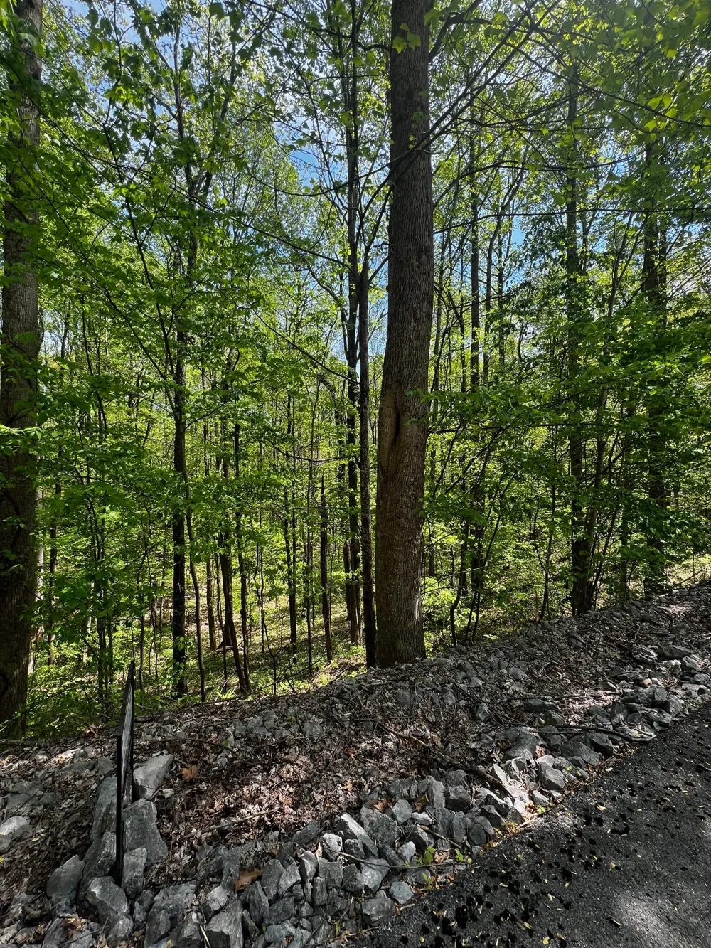 0 Lola Dr Smithville, TN 37166