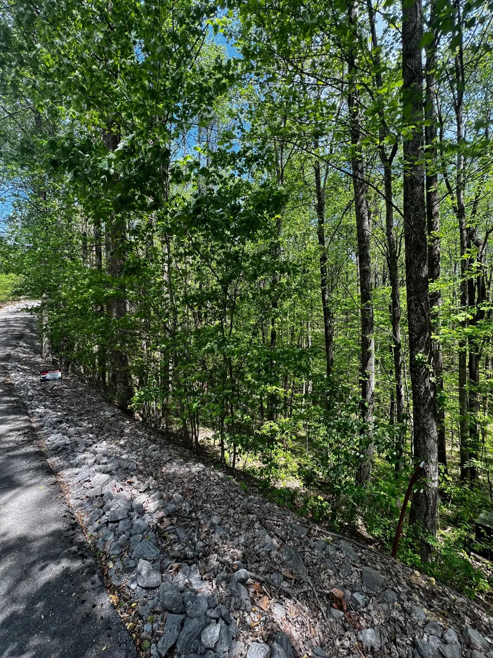 0 Lola Dr Smithville, TN 37166