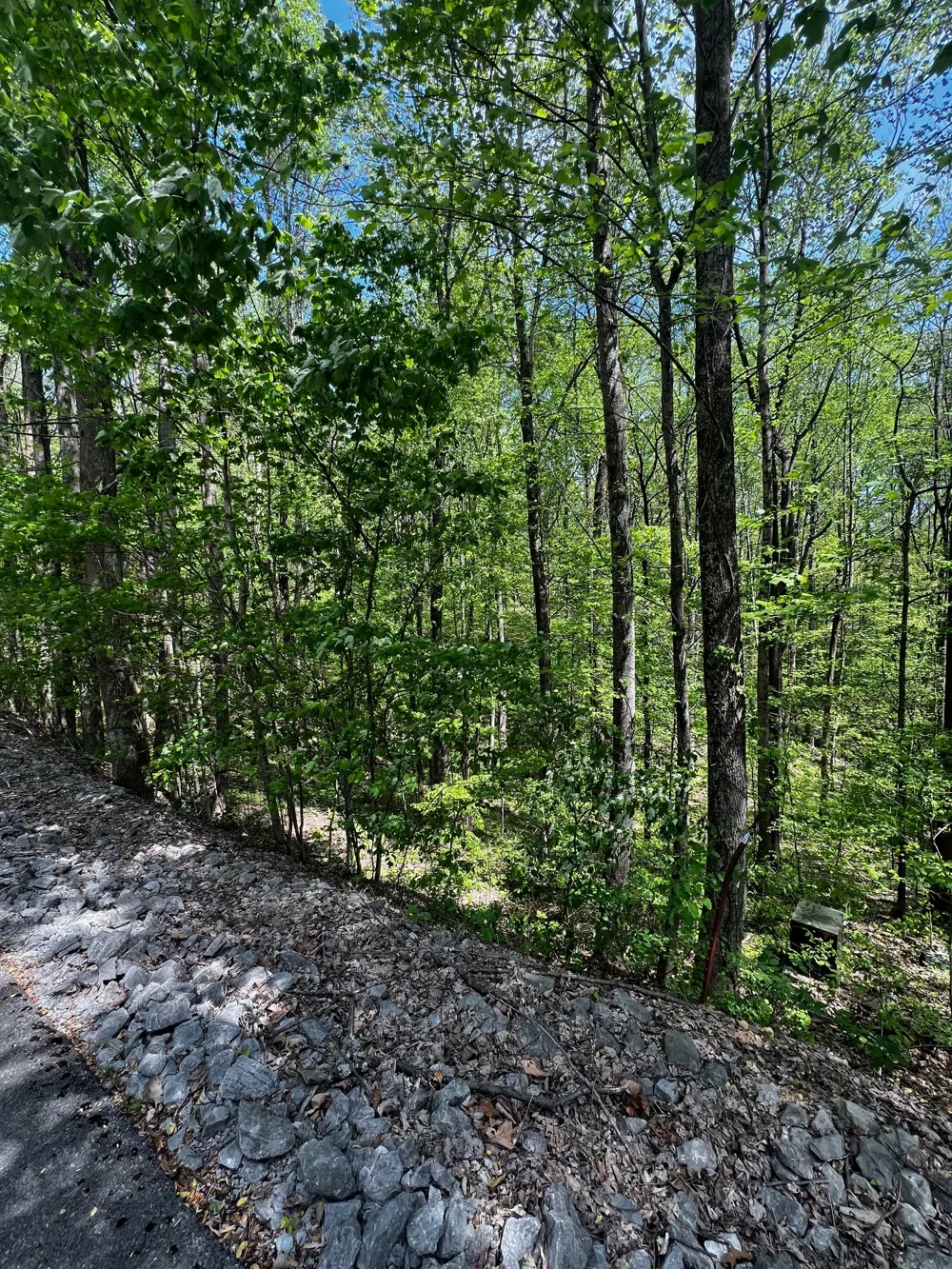 0 Lola Dr Smithville, TN 37166