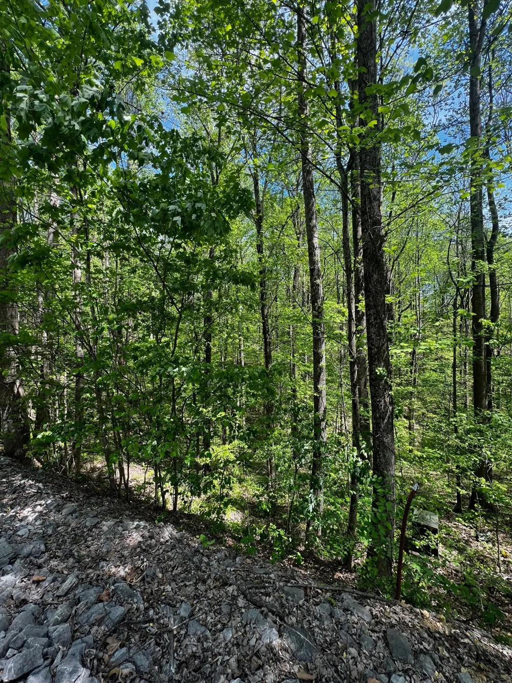 0 Lola Dr Smithville, TN 37166