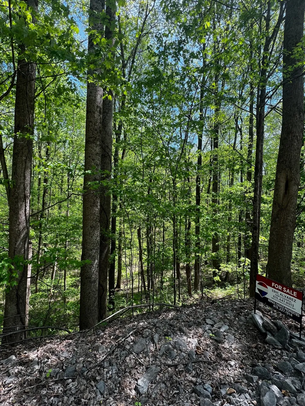 0 Lola Dr Smithville, TN 37166