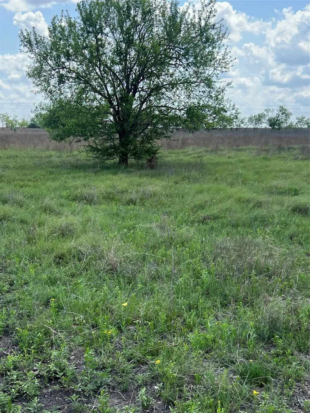 Private Road 4311 Jonesboro, TX 76531