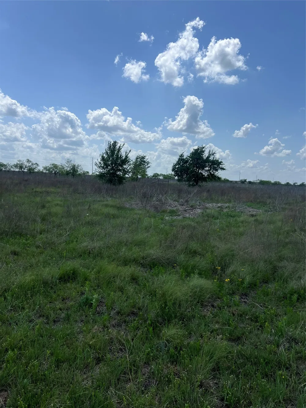 Private Road 4311 Jonesboro, TX 76531
