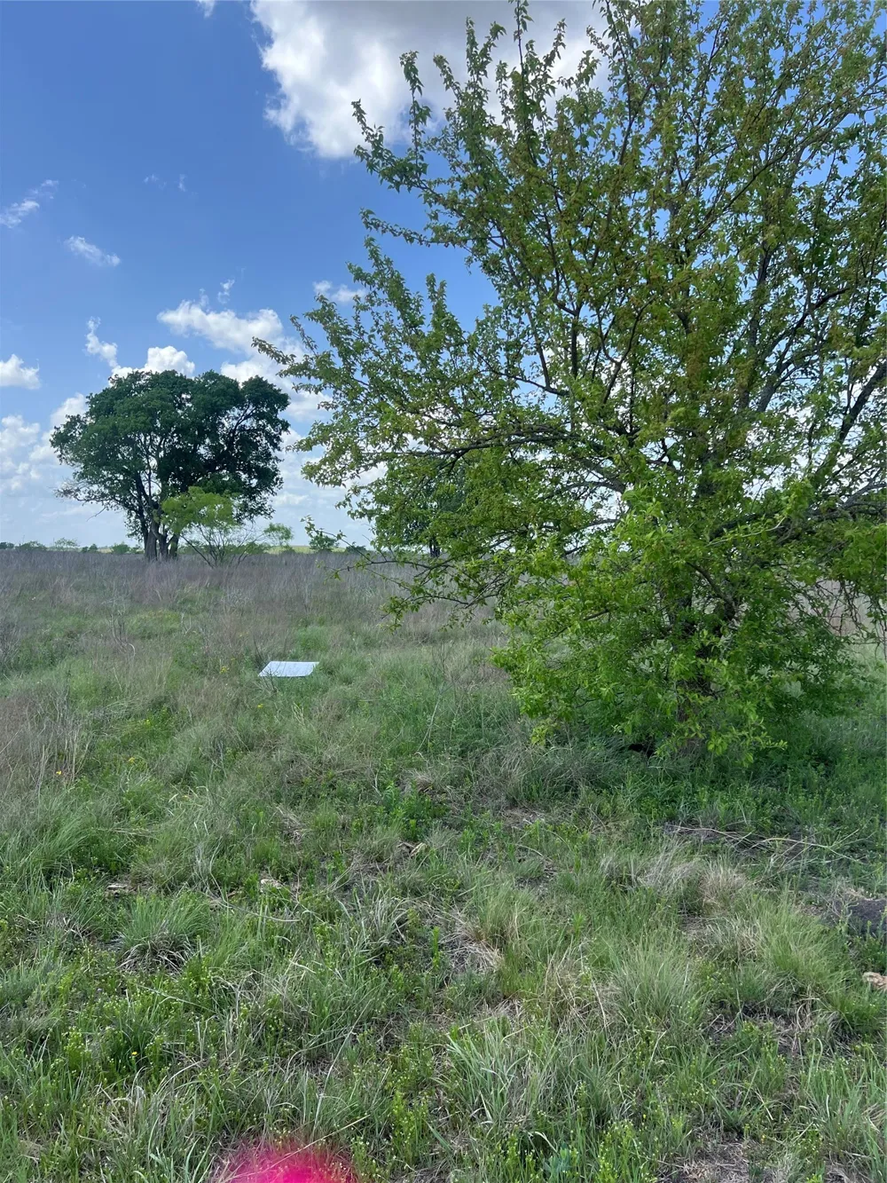 Private Road 4311 Jonesboro, TX 76531