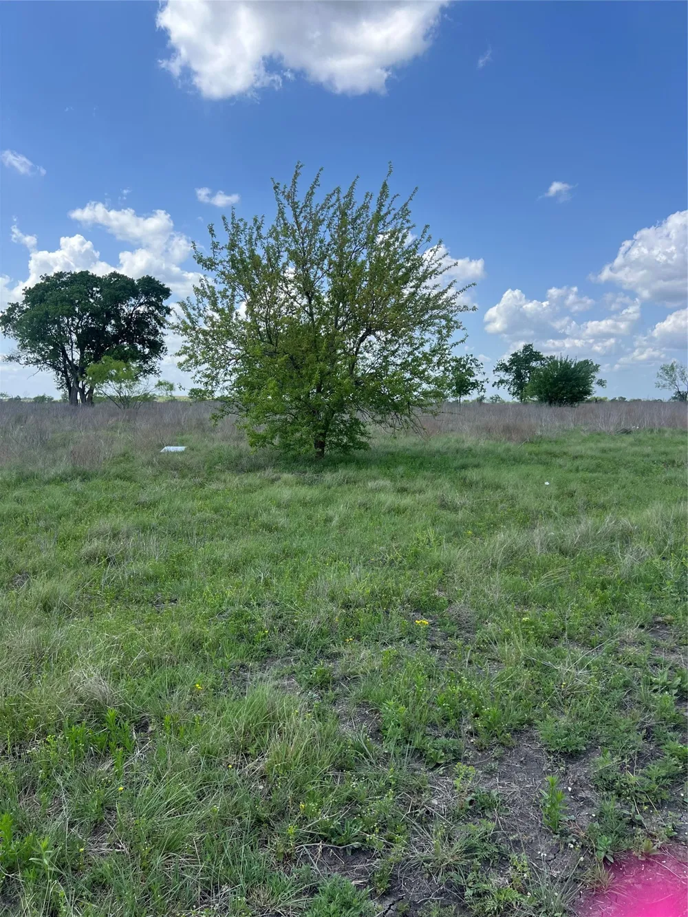 Private Road 4311 Jonesboro, TX 76531