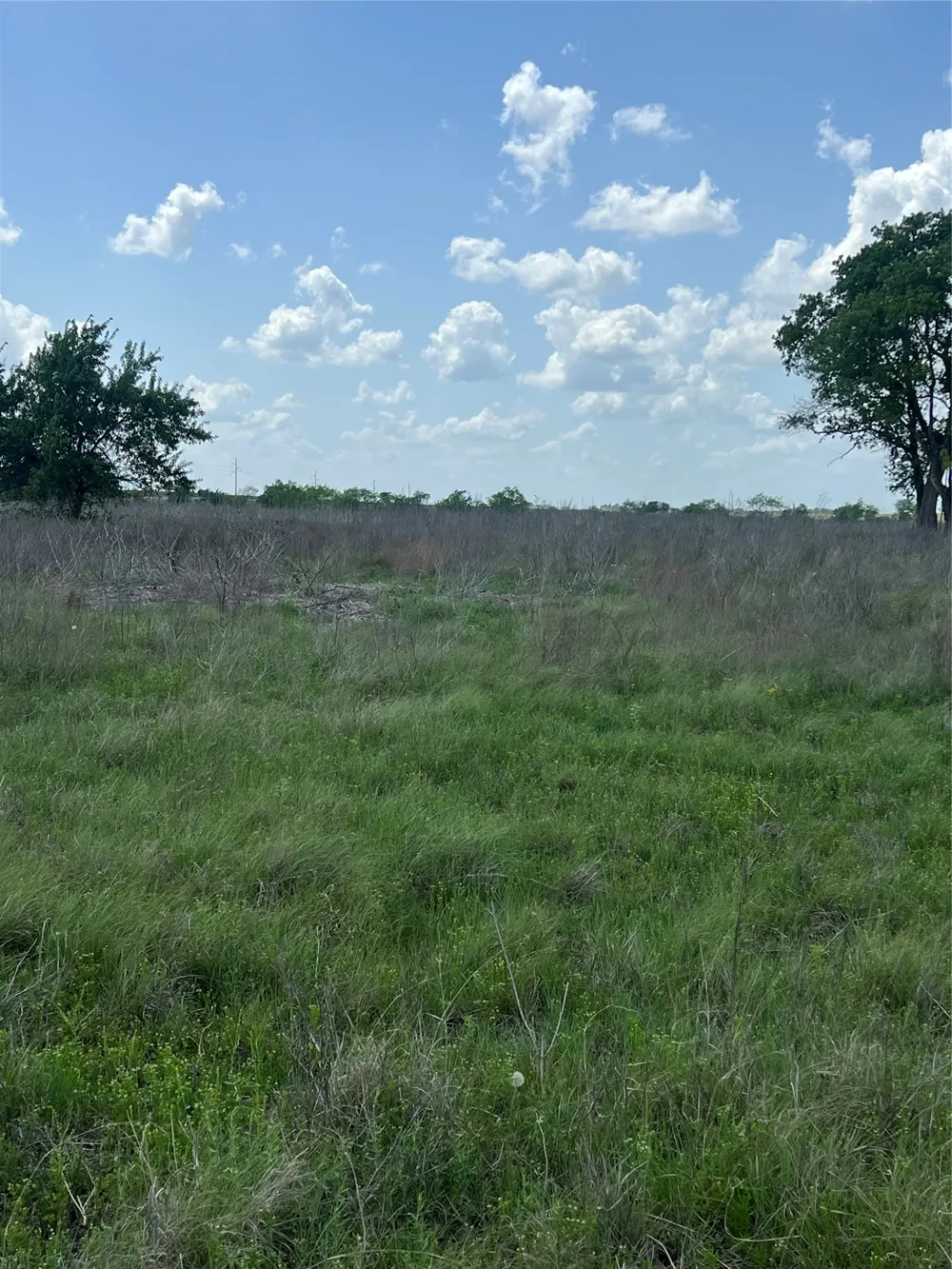 Private Road 4311 Jonesboro, TX 76531