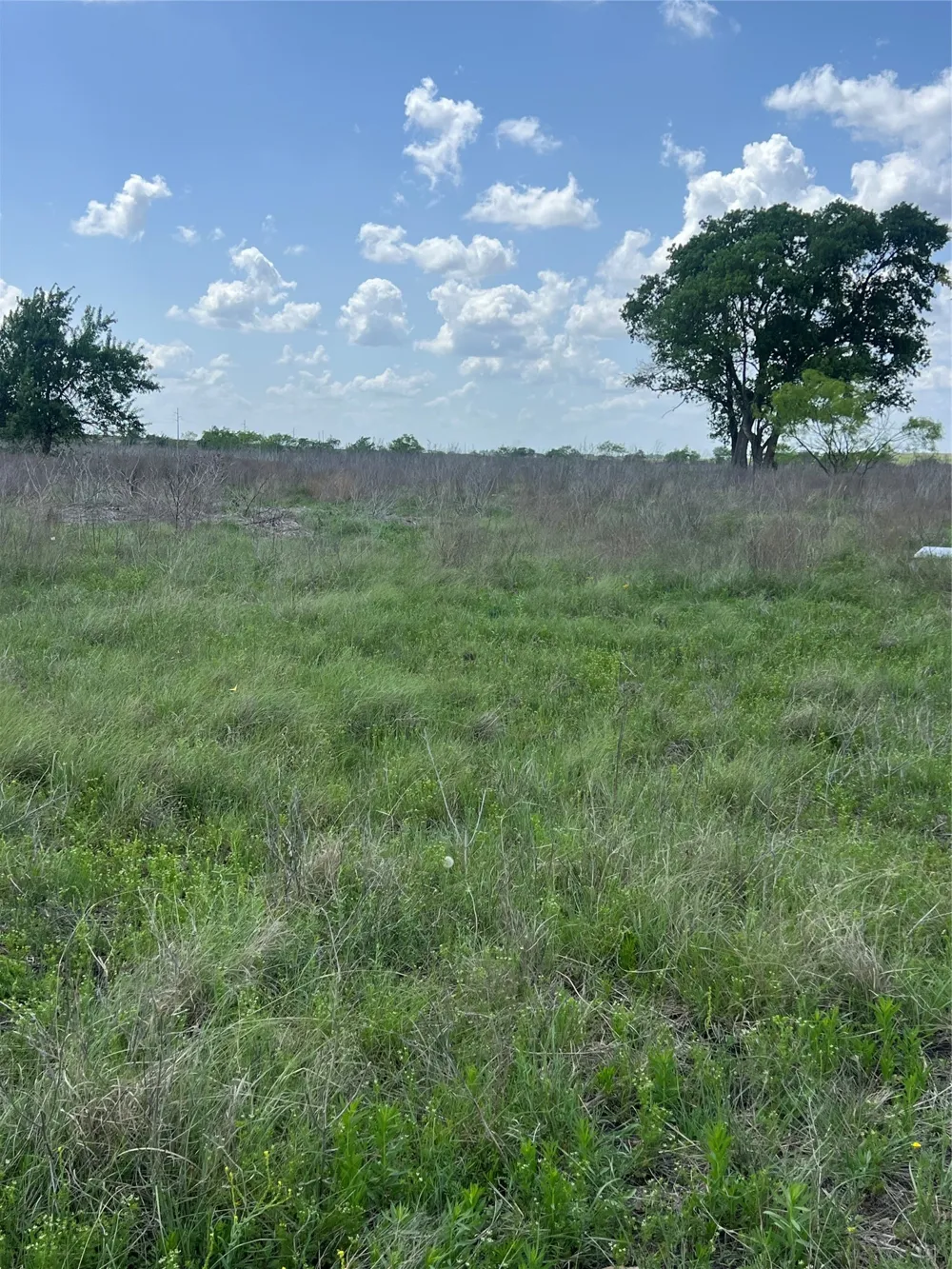 Private Road 4311 Jonesboro, TX 76531