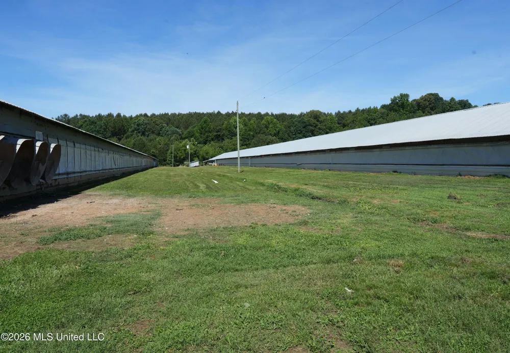 10671 Ms-427 Carthage, MS 39051