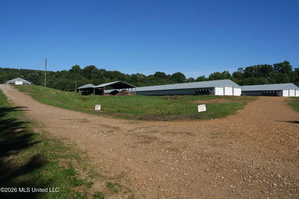 10671 Ms-427 Carthage, MS 39051