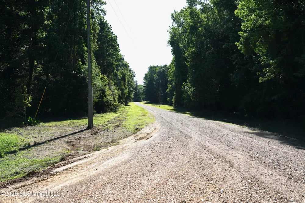 10671 Ms-427 Carthage, MS 39051